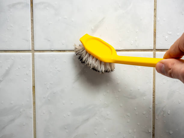 Best Mold Removal Near Me  in Twin Rivers, NJ
