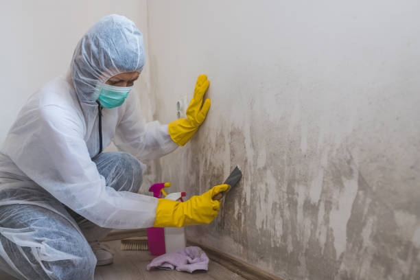 Best Crawl Space Mold Removal  in Twin Rivers, NJ