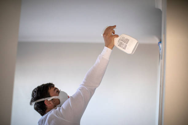 Best Emergency Mold Removal  in Twin Rivers, NJ