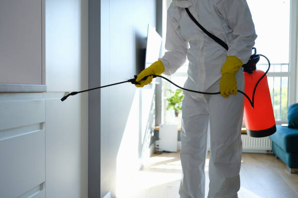 Best Attic Mold Removal  in Twin Rivers, NJ