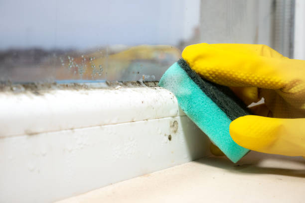 Best Residential Mold Removal  in Twin Rivers, NJ