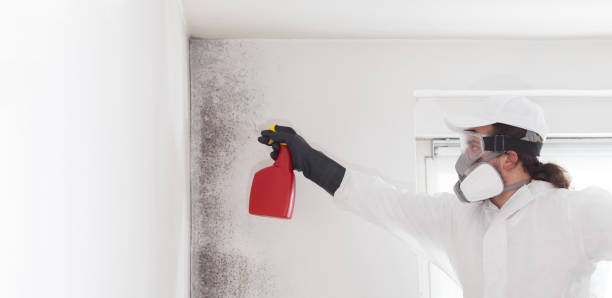 Best Mold Cleaning Services  in Twin Rivers, NJ