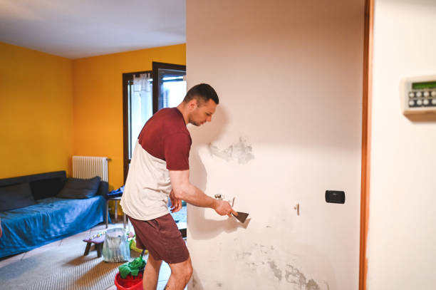 Best Mold Damage Repair  in Twin Rivers, NJ
