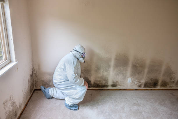Office Mold Removal Services in Twin Rivers, NJ