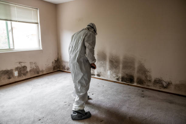 Best Local Mold Removal Service  in Twin Rivers, NJ