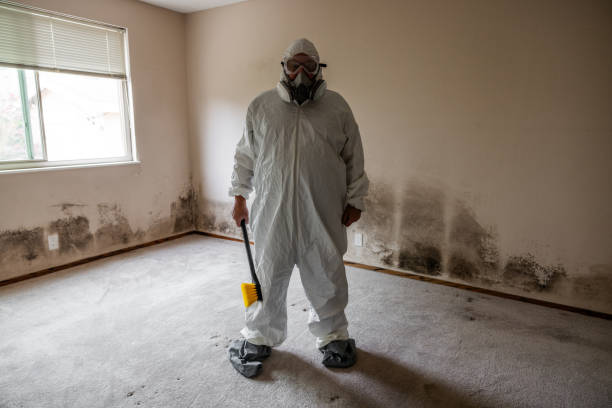 Best Fast Mold Removal  in Twin Rivers, NJ